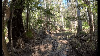 Enduro Riding in Ruts Deeper than the Bike 3 [upl. by Chew]