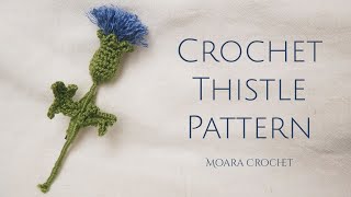 Crochet Thistle Pattern Moara Crochet [upl. by Ojillek]