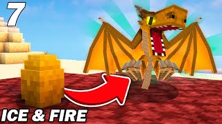 Jadopte mon premier bébé dragon de feu  Minecraft Ice amp Fire EP7 [upl. by Hong]