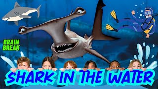 SHARK IN THE WATER GAME 2 EXERCISE BRAIN BREAK FOR KIDS RUN CHASE LIKE FREEZE DANCE FLOOR IS LAVA [upl. by Arhaz426]