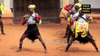 Dollu Kunitha  Folk dance of Karnataka [upl. by Drawets771]