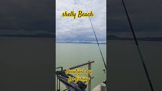 Shelly Beach wharf fishing [upl. by Baggs729]