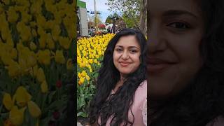 Part12 Malayalam minivlog  Tulip festival Bowral NSW Australia [upl. by Aldridge]