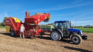 Hofladen Putzhammer  Kartoffelproduktion amp Ernte mit Grimme SE 7520 amp New Holland TND60DA [upl. by Radnaskela656]