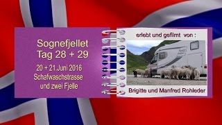 Mit dem Wohnmobil nach Norwegen 2016  Tag 28  29 [upl. by Avad]