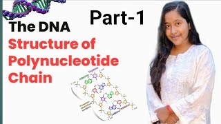 Structure of polynucleotide chain Class 12 [upl. by Bisset]