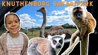 Knuthenborg Safaripark🐵🦓🐯🦒Sjove aber og en meget nysgerrig struds😱 [upl. by Hankins]