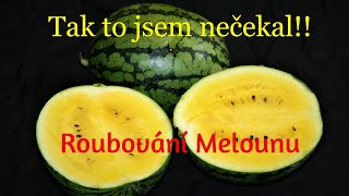 ROUBOVÁNÍ MELOUNŮ Na poprvé jsem to nečekal [upl. by Ehtyde]