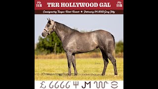 2024 Return to the Remuda Sale Hip 118 TRR Hollywood Gal [upl. by Aikaz]