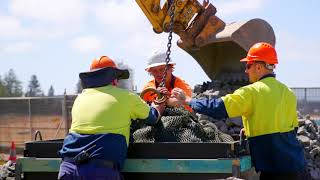 Rock Bags to Protect a Wall at SCS Collaroy Beach [upl. by Lleryd551]