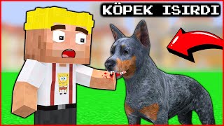 EFEKANI KÖPEK ISIRDI 😱  Minecraft [upl. by Drof]