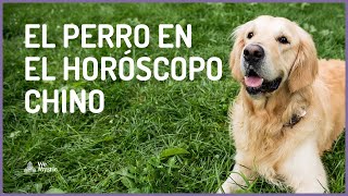 El perro y sus características en el horóscopo chino [upl. by Malan]