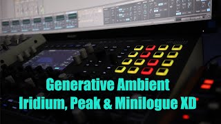 Generative Ambience with Iridium Peak amp Minilogue XD [upl. by Gleason]