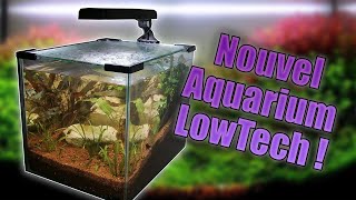 Faire un Aquarium Lowtech 20L [upl. by Carina]