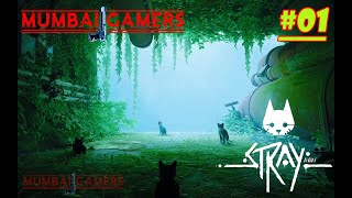 STRAY Gameplay Walkthrough Part 1 straycat subscribe pcgaming gameplay share like walkthrough [upl. by Enilekaj]