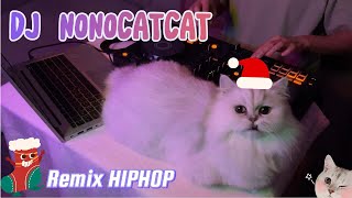 HIPHOP​  KPOP  Thai  Remix​ ​Song​​ Mashup  DJ​ Nonocatcat remix​ cat​ แมว​ dj song djset [upl. by Rora]