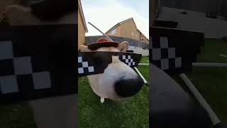 Dog activity 🤓ytshorts funny cute trending [upl. by Marysa172]