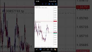 Best Forex robot  PRO SCALPA EA shorts [upl. by Timothee854]