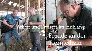 Stellenanzeige für den Großtierbereich Tierärztin  Tierarzt [upl. by Ymmor]