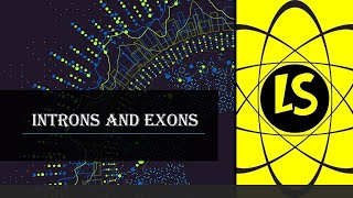 Introns Exons and Alternative Splicing [upl. by Grounds]