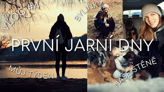 První jarní dny  Můj týden  život se štěňátkem  VLOG 4 [upl. by Ahsiekin]