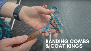 BANDING COMBS  THE BASICS  DOG GROOMING [upl. by Curt]