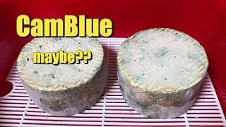 Making CamBlue Cheese [upl. by Prince737]