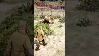 Caught bear in rdr2  rdr2 arthurmorgan reddeadredemption gaming games livevideo hoursepower [upl. by Pederson75]