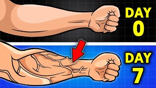 10 Key Habits For VEINY Arms [upl. by Fine]