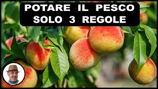 POTARE IL PESCO 3 semplici regole [upl. by Weinstock503]