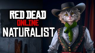 Leveling Up Naturalist Role in Red Dead Online 🐱 Stream [upl. by Nnaed]