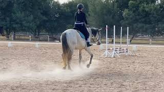 My first time falling off a horse  attempting to canter [upl. by Stew]