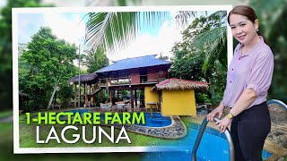 FARM TOUR Farm Resort With Rest House For Sale in Laguna [upl. by Nicholl360]