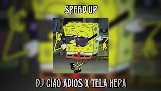 DJ CIAO ADIOS X TELA HEPA SPEED UP [upl. by Dorrie]