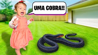 UMA COBRA INVADIU a NOSSA CASA O QUE VAMOS FAZER FAMÍLIA INTEIRA com MUITO MEDO Pai Também Vloga [upl. by Suivatna]