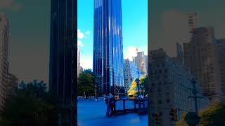 Near central park centralpark centralparknyc usa usatour trendingshorts shorts shortsvideo [upl. by Idnek]