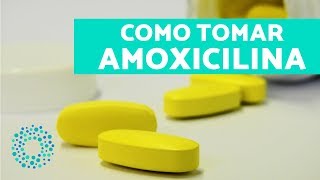 AMOXICILINA serve para quê COMO TOMAR [upl. by Yecnuahc]