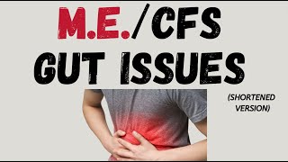 MECFS GUT issues [upl. by Laundes]