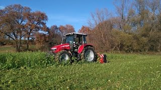 Bio Betrieb Fam Schoditsch  Zwischenfrüchte mulchen  Massey Ferguson Tehnos [upl. by Eitsirk]