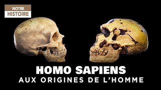 A la recherche de nos origines  Homo Sapiens ancêtre de lHomme  Documentaire Archéologie  CTB [upl. by Dwain]