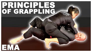 The 5 Basic Principles of Grappling for MMA [upl. by Arihaj347]