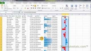 Excel 2010  Conditional Formatting  Data Bars [upl. by Rusel]