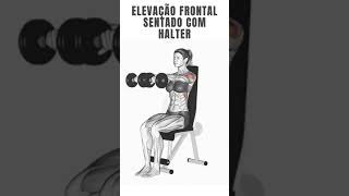 elevação frontal sentado com halter [upl. by Eenahpets]