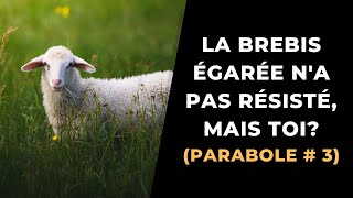 La brebis égarée na pas résisté MAIS TOI Parabole  3 [upl. by Oibaf]