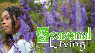 Witchy Seasonal Living For Beginners How To Start Your Cyclical Living Lifestyle [upl. by Aelegna224]