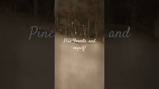 Pine forest near death road • horror horrorstories alone deepforest jungle bgm [upl. by Cuthbertson]