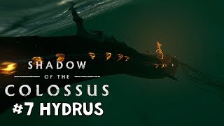 Shadow of the Colossus  HYDRUS 7  MEU NOVO COLOSSO FAVORITO PS4  PTBR [upl. by Breeze438]