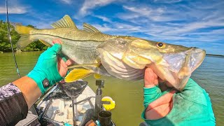 INSANE bite on the FLATS Inshore Slam TampaBay KayakFishing [upl. by Ientirb]