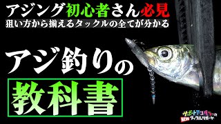 【淡路島アジング】淡路島のアジングマスターがお手軽に港でアジング《ニュータックルリポート》 [upl. by Neleh231]