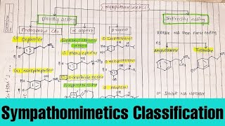 Sympathomimetic Drug Classification with structure  Pharmacology1  Medicinal chemistry [upl. by Ternan]